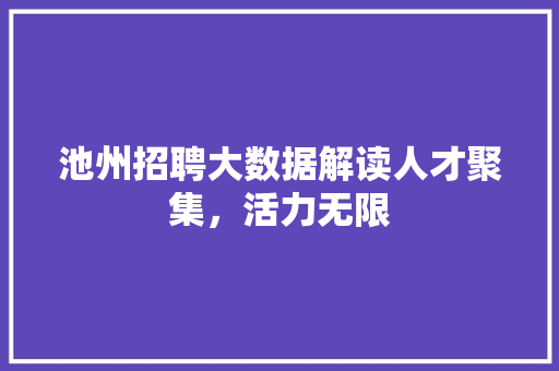 池州招聘大数据解读人才聚集，活力无限