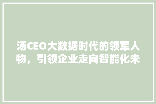汤CEO大数据时代的领军人物，引领企业走向智能化未来