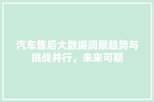 汽车售后大数据洞察趋势与挑战并行，未来可期