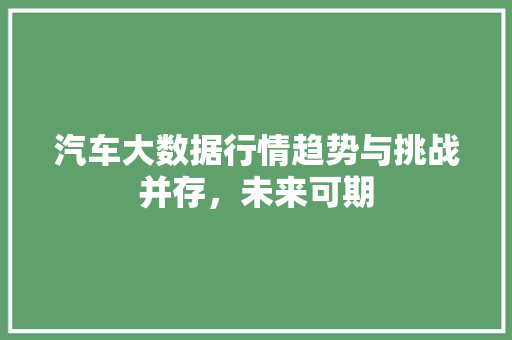汽车大数据行情趋势与挑战并存，未来可期 SEO教程