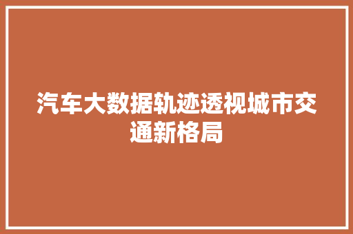 汽车大数据轨迹透视城市交通新格局