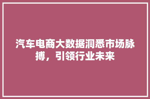 汽车电商大数据洞悉市场脉搏，引领行业未来 SEO教程