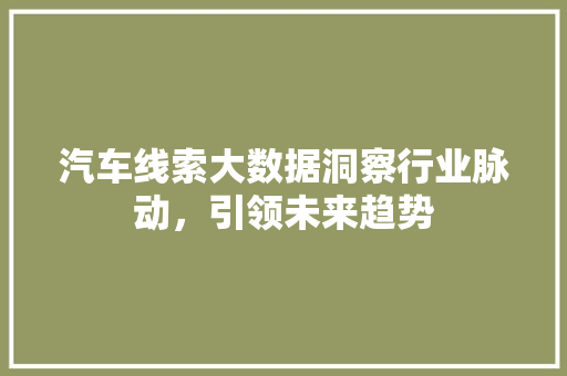 汽车线索大数据洞察行业脉动，引领未来趋势