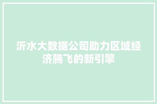 沂水大数据公司助力区域经济腾飞的新引擎
