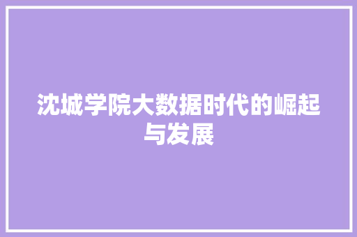 沈城学院大数据时代的崛起与发展
