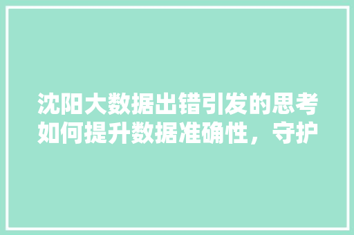 沈阳大数据出错引发的思考如何提升数据准确性，守护数据安全