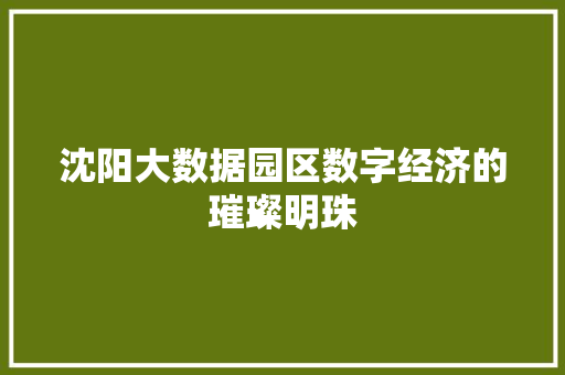 沈阳大数据园区数字经济的璀璨明珠