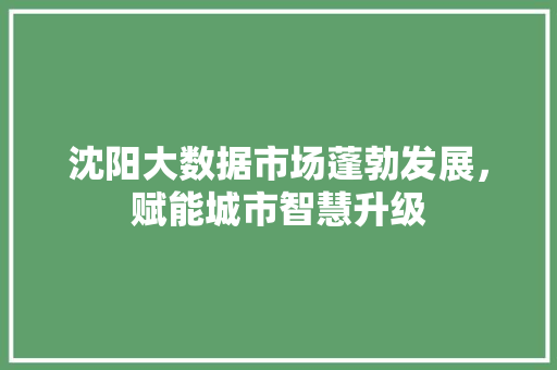 沈阳大数据市场蓬勃发展，赋能城市智慧升级