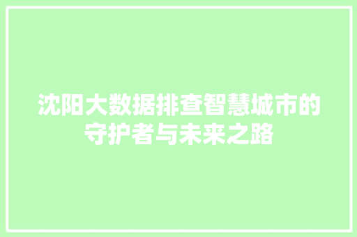 沈阳大数据排查智慧城市的守护者与未来之路