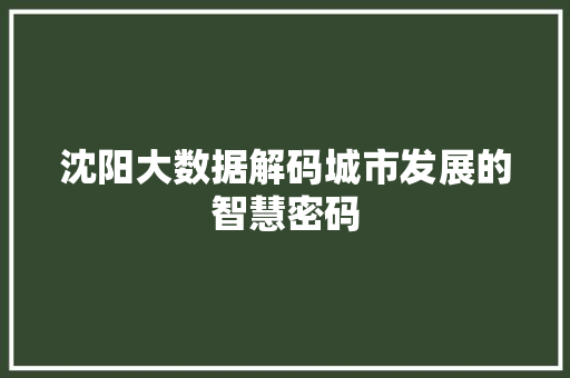 沈阳大数据解码城市发展的智慧密码