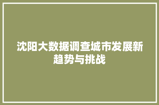 沈阳大数据调查城市发展新趋势与挑战 WordPress教程