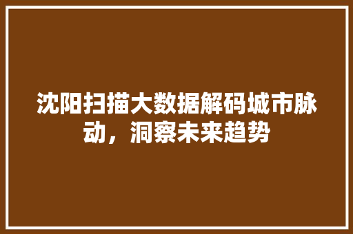 沈阳扫描大数据解码城市脉动，洞察未来趋势 WordPress教程