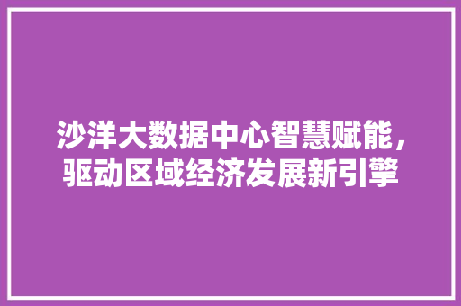 沙洋大数据中心智慧赋能，驱动区域经济发展新引擎 SEO教程
