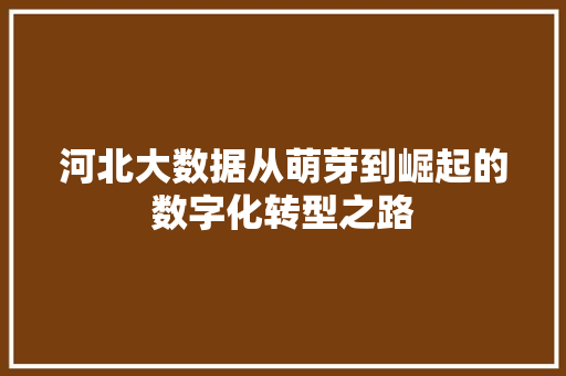 河北大数据从萌芽到崛起的数字化转型之路