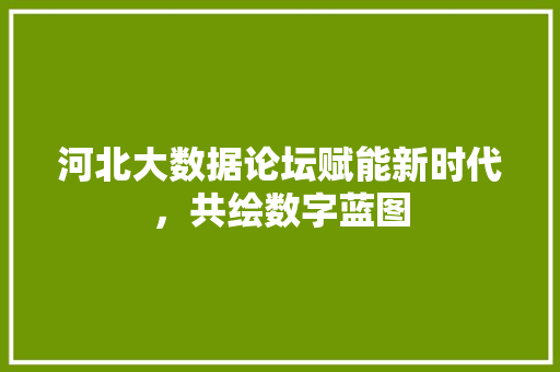 河北大数据论坛赋能新时代，共绘数字蓝图 服务器/数据库