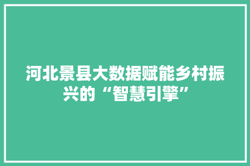 河北景县大数据赋能乡村振兴的“智慧引擎” 友链在线