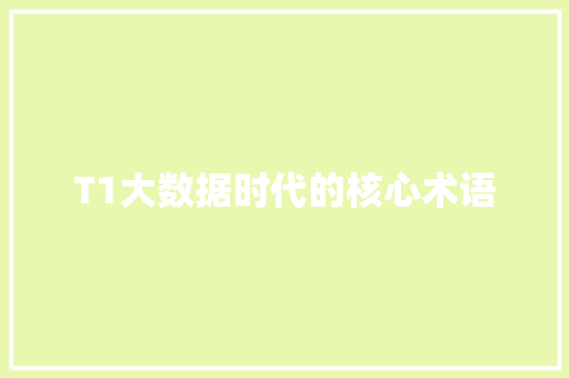 T1大数据时代的核心术语 WordPress教程
