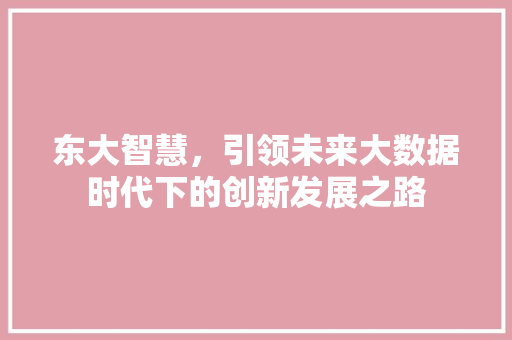 东大智慧，引领未来大数据时代下的创新发展之路