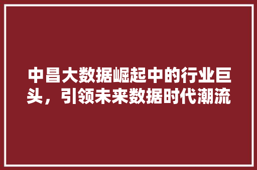 中昌大数据崛起中的行业巨头，引领未来数据时代潮流
