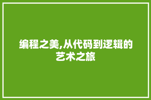 编程之美,从代码到逻辑的艺术之旅