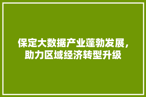 保定大数据产业蓬勃发展，助力区域经济转型升级 建站教程