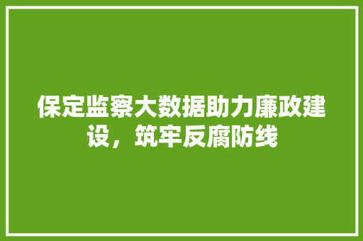 保定监察大数据助力廉政建设，筑牢反腐防线