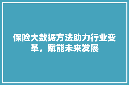 保险大数据方法助力行业变革，赋能未来发展