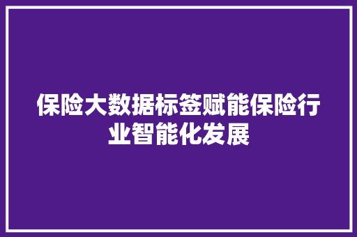 保险大数据标签赋能保险行业智能化发展