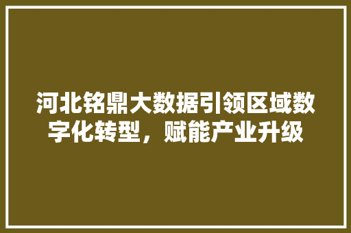 河北铭鼎大数据引领区域数字化转型，赋能产业升级
