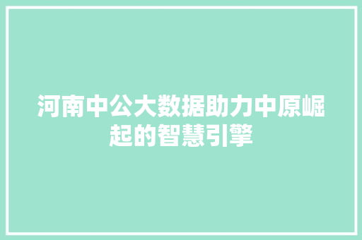 河南中公大数据助力中原崛起的智慧引擎