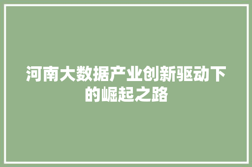 河南大数据产业创新驱动下的崛起之路