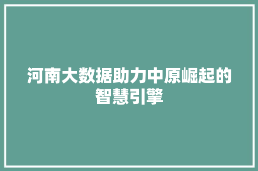 河南大数据助力中原崛起的智慧引擎