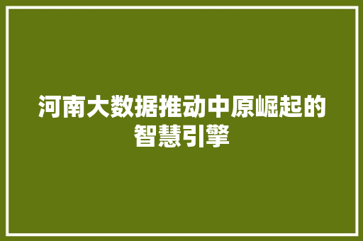 河南大数据推动中原崛起的智慧引擎