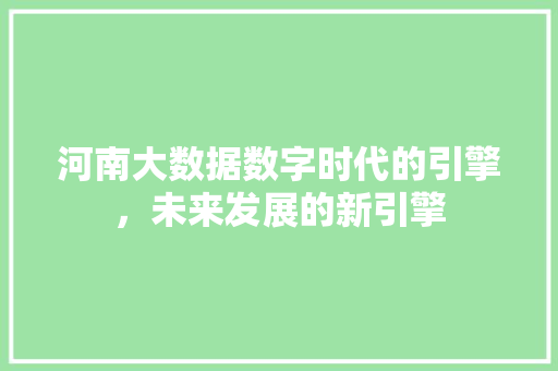 河南大数据数字时代的引擎，未来发展的新引擎