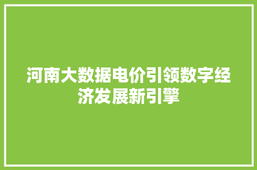 河南大数据电价引领数字经济发展新引擎