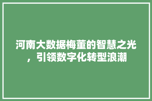 河南大数据梅董的智慧之光，引领数字化转型浪潮