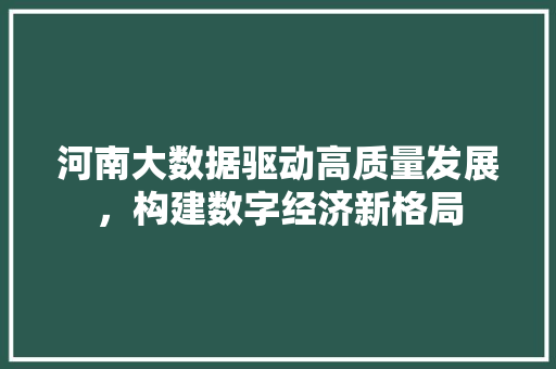 河南大数据驱动高质量发展，构建数字经济新格局