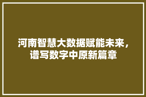 河南智慧大数据赋能未来，谱写数字中原新篇章