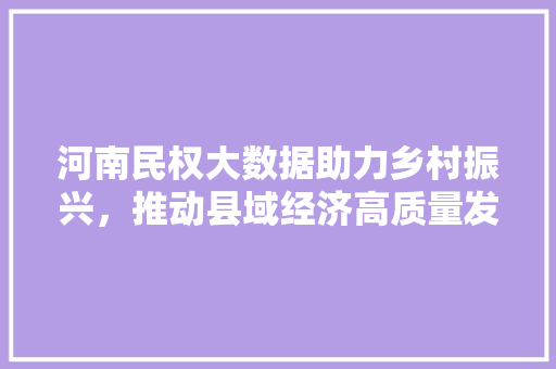 河南民权大数据助力乡村振兴，推动县域经济高质量发展