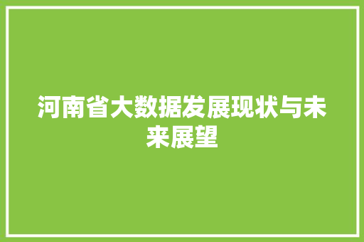 河南省大数据发展现状与未来展望