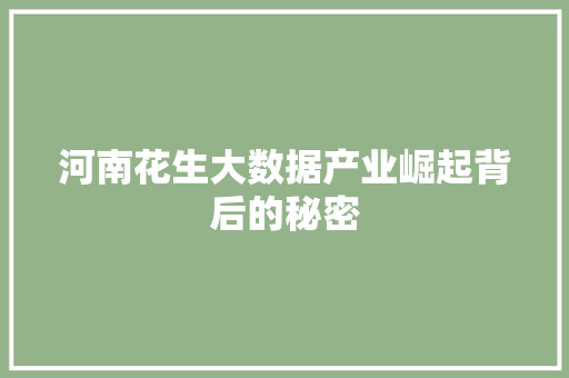 河南花生大数据产业崛起背后的秘密 SEO教程