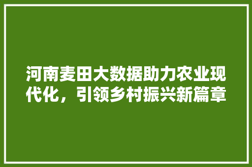 河南麦田大数据助力农业现代化，引领乡村振兴新篇章