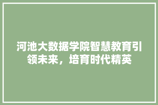 河池大数据学院智慧教育引领未来，培育时代精英
