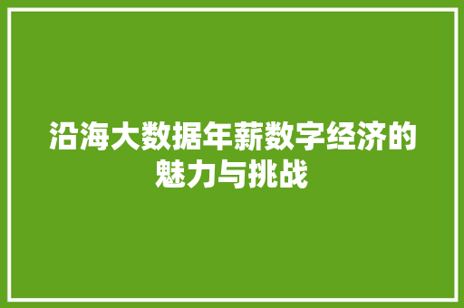 沿海大数据年薪数字经济的魅力与挑战
