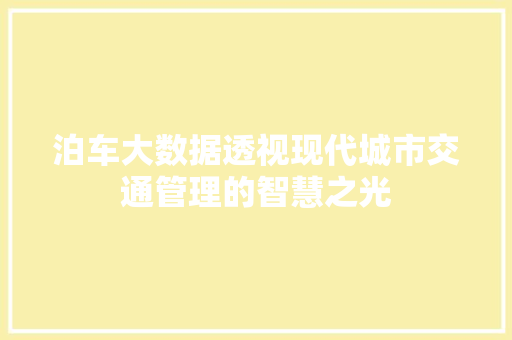 泊车大数据透视现代城市交通管理的智慧之光