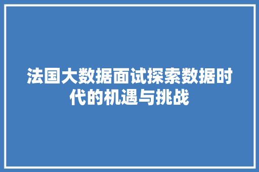 法国大数据面试探索数据时代的机遇与挑战 WordPress教程