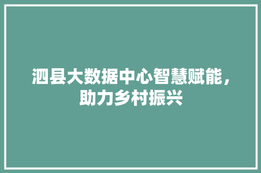 泗县大数据中心智慧赋能，助力乡村振兴