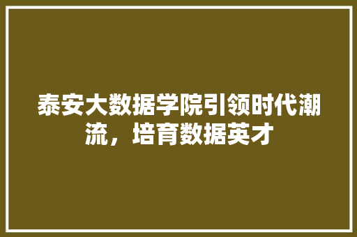 泰安大数据学院引领时代潮流，培育数据英才