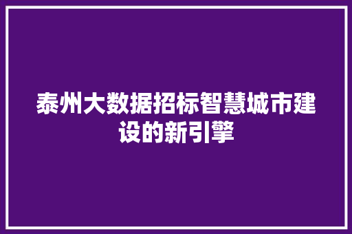 泰州大数据招标智慧城市建设的新引擎