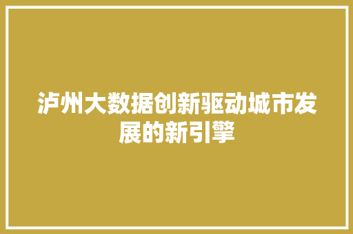 泸州大数据创新驱动城市发展的新引擎